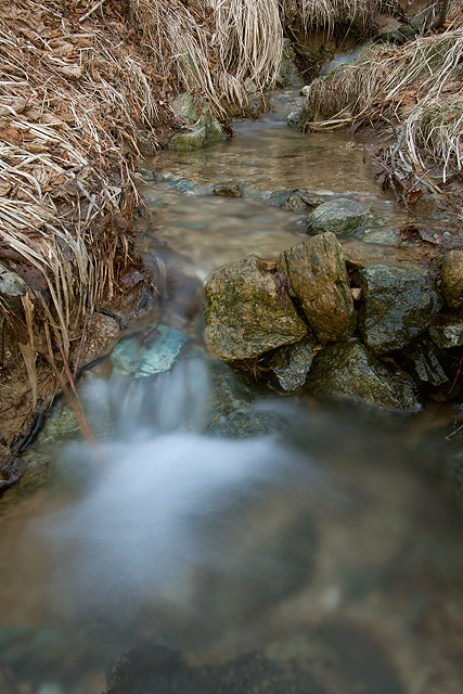 Stream