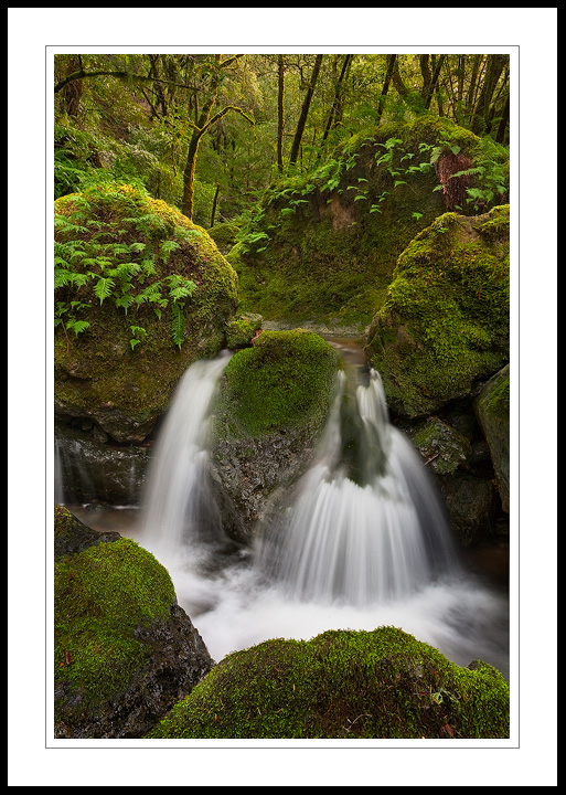 Cascade Creek