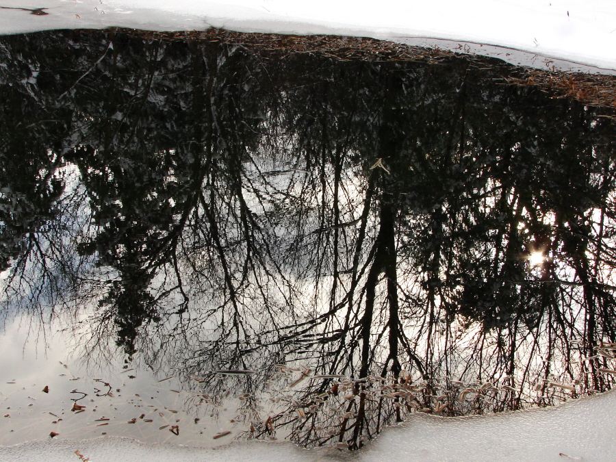 Mirror in the Snow 1
