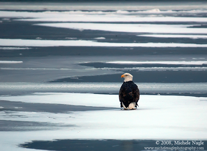 Floating on Ice