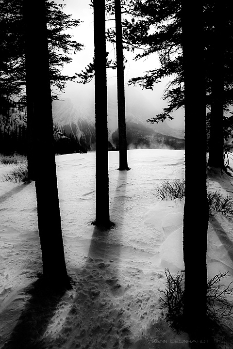 Winter Shadows