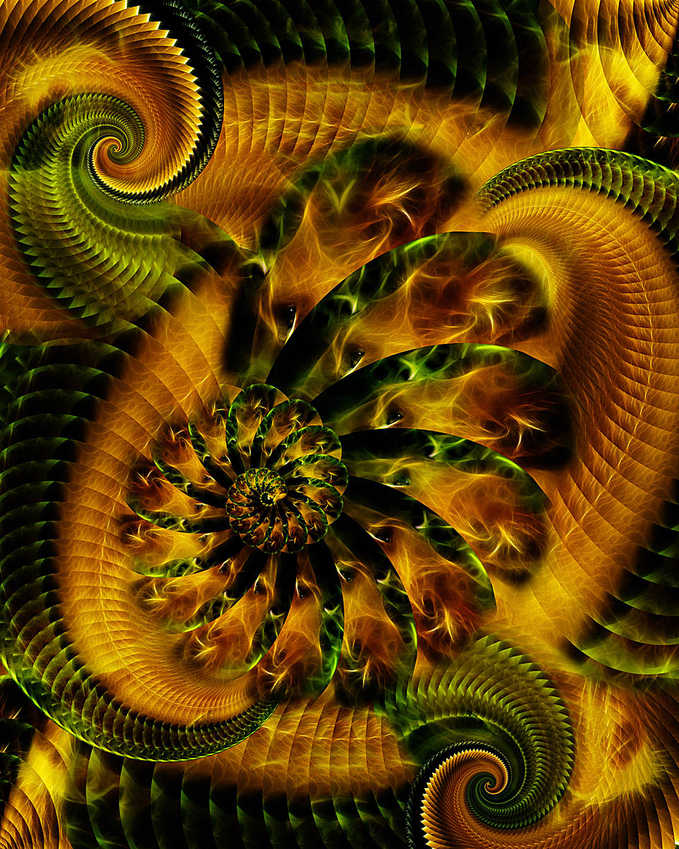 Lioness Fractal