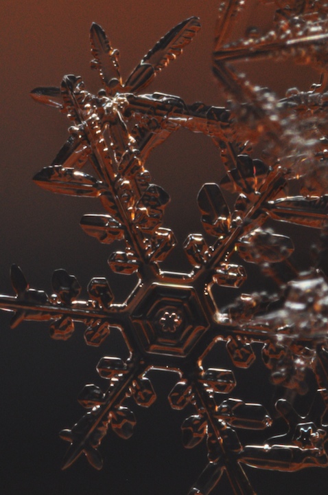 snow flakes