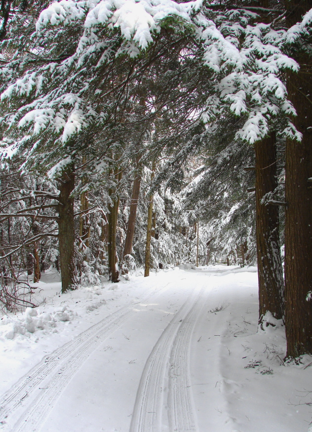 Snow Tires