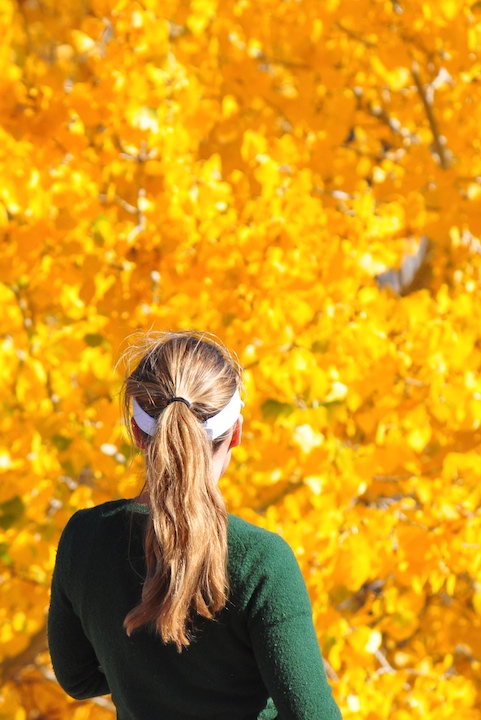 cottonwood ponytail
