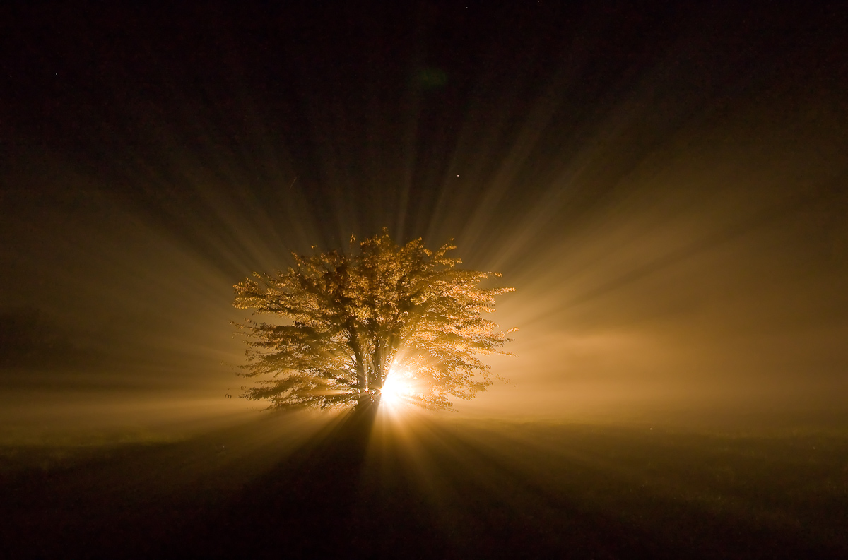Midnight light