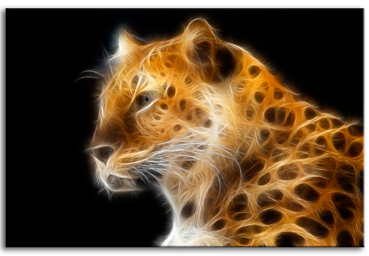 Amur Leopard