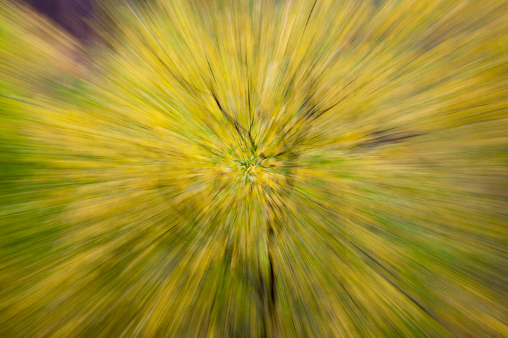 Into the Color