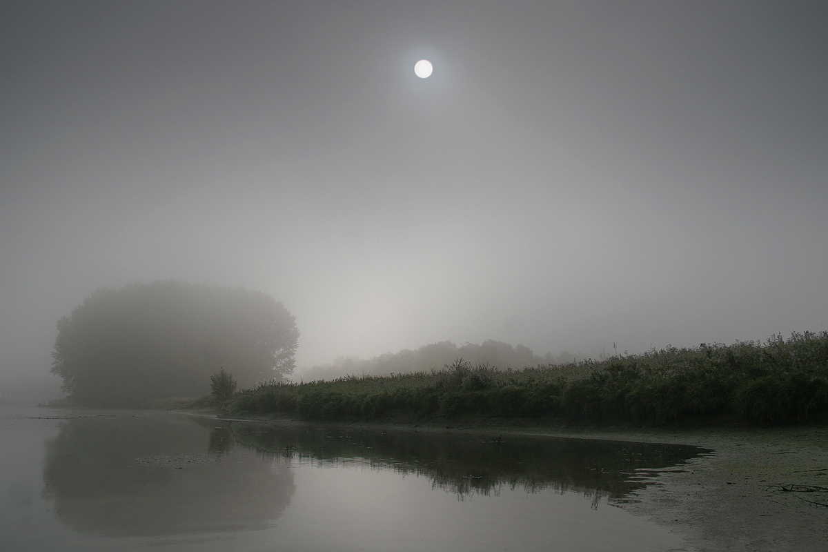 Misty Morning