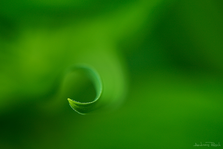 Spiraling