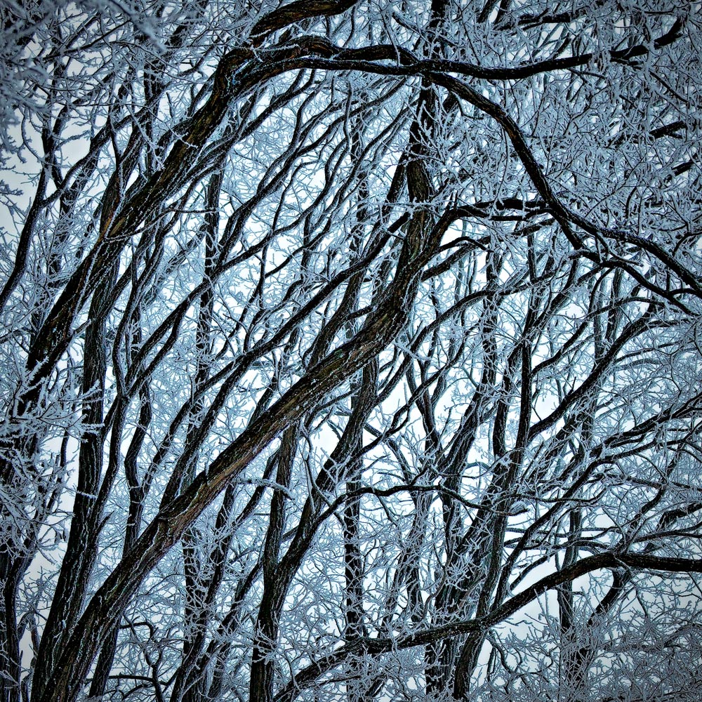 Entangled (with broken link fix)