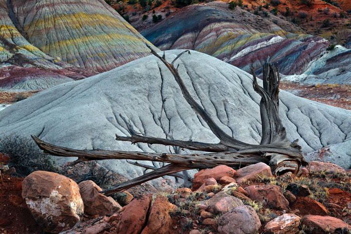 Bands of Color