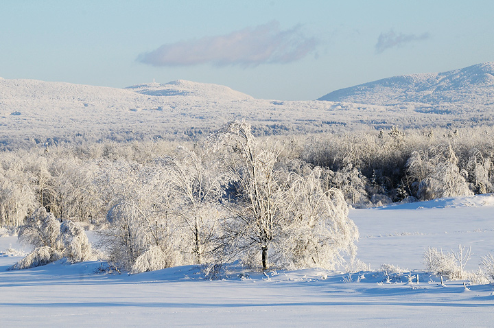 Pastoral Icescape