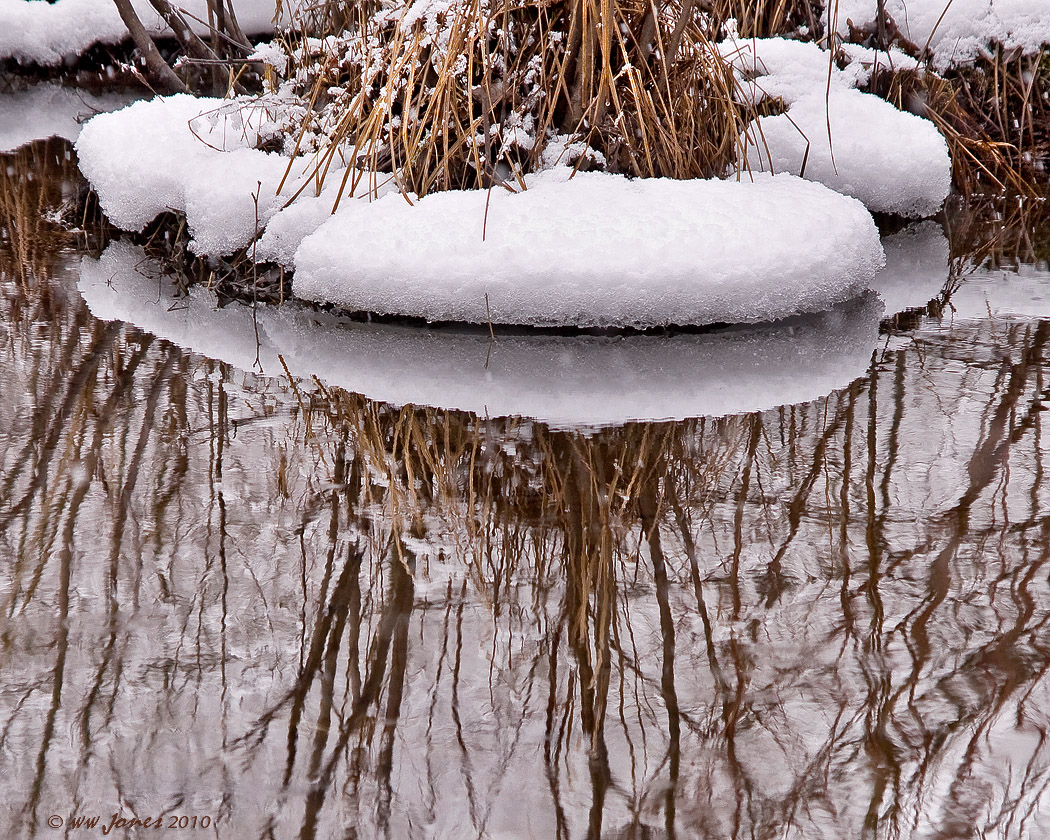 Wetland Snowfall