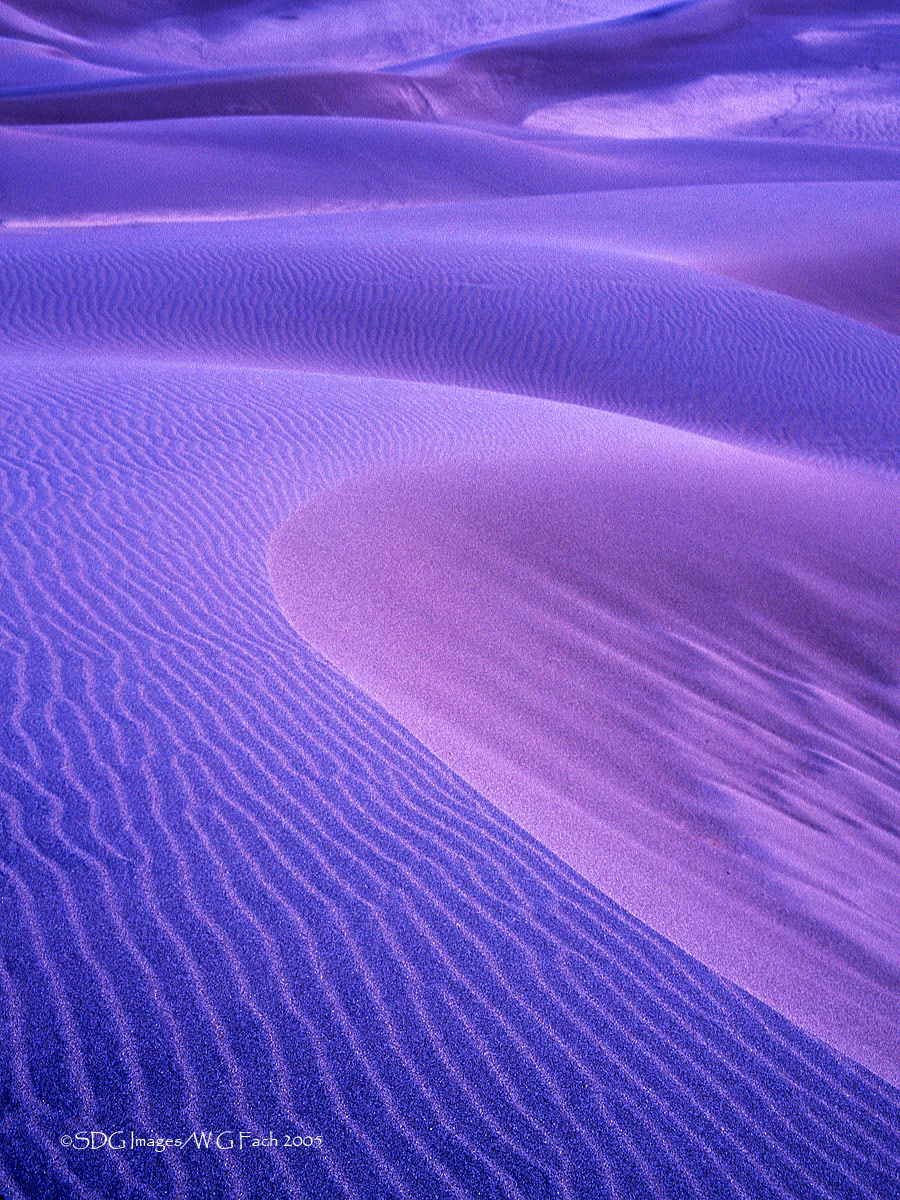 WC 416 Pre-Dawn Blues