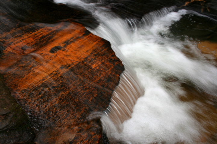 Carrick Creek