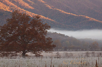 Cades Cove