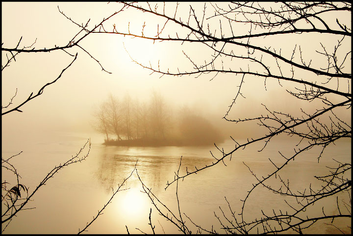 Winter Tranquility