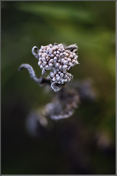 An indiscreet form