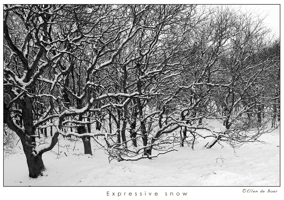 Expressive snow...