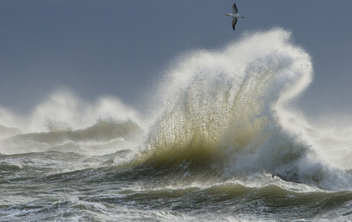 Rough Waves