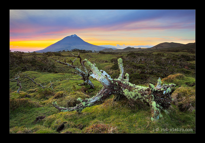 Echoes of Nature 