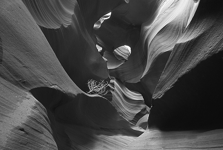 Wonder in B&W