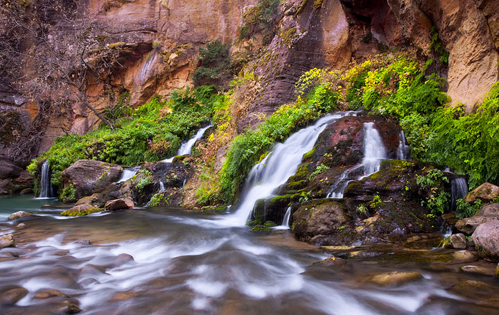 Gushing Springs