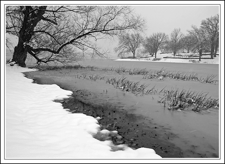 WC#417-Snowy Lines