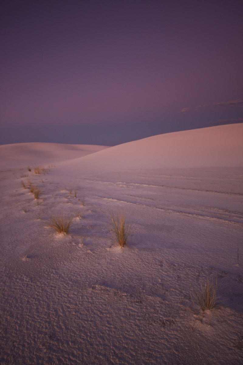 Dunes #417