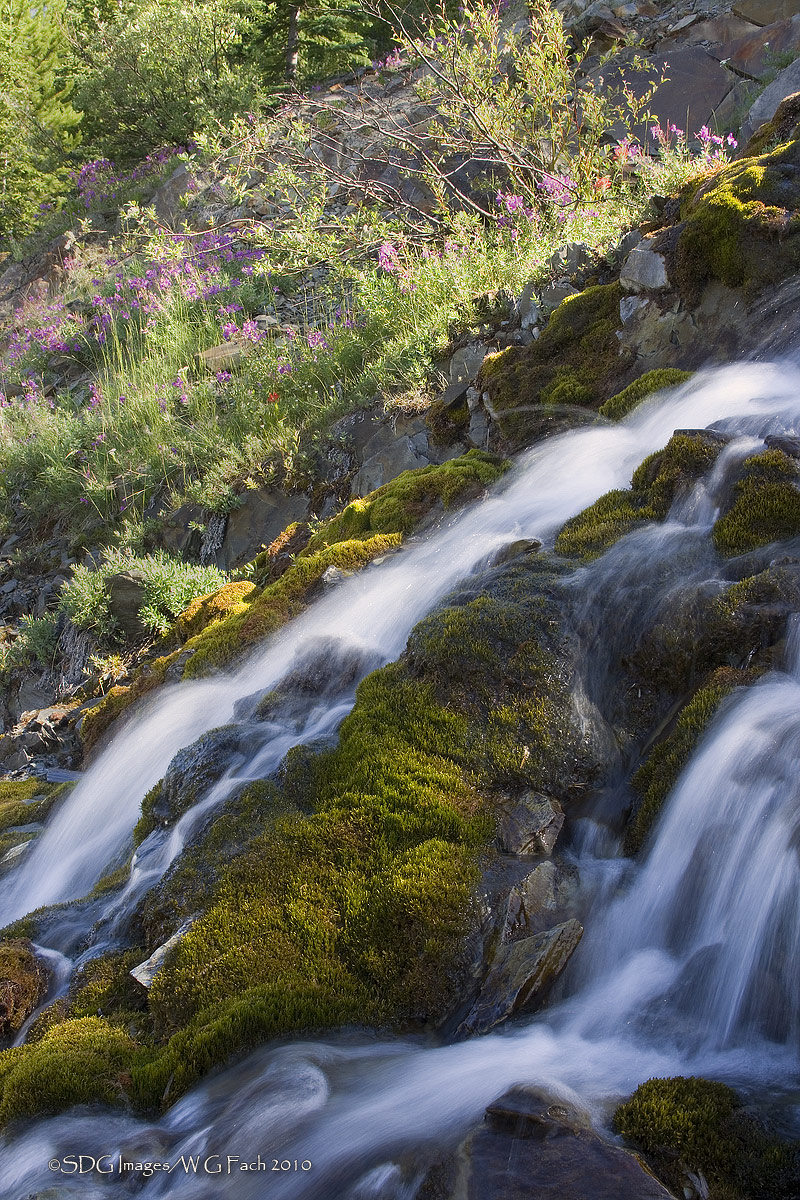Happy Cascade