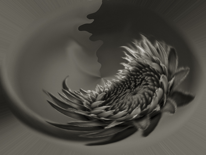 Splash
