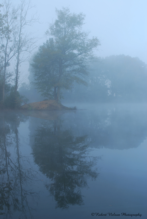 foggy morning2