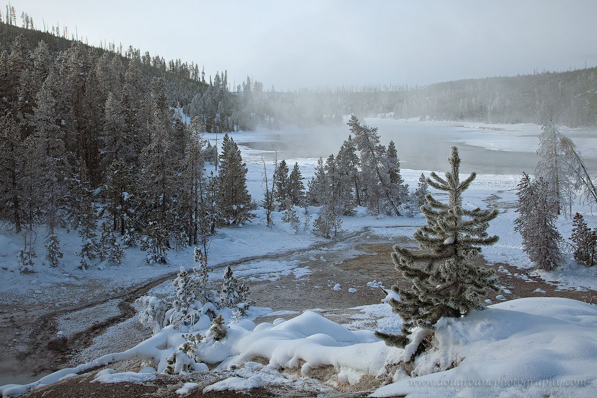 Yellowstone in Winter