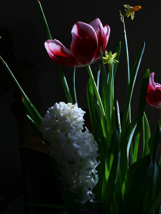 Darkness,Color,Light