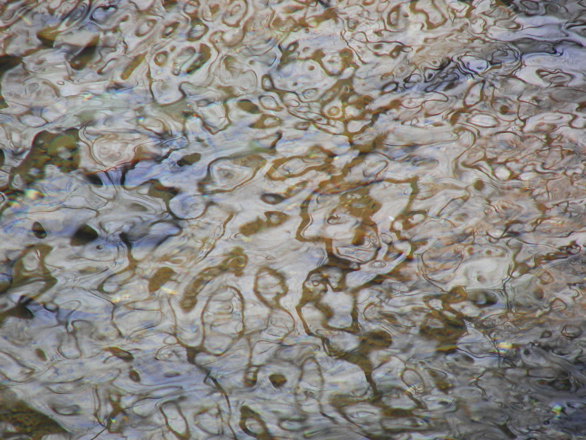 Water Wiggles 1