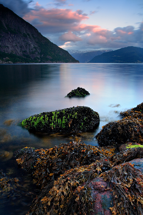 The Great Fjord