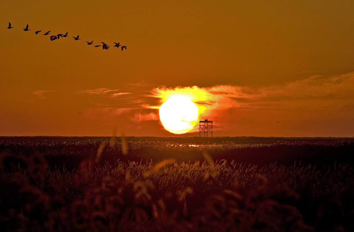 A New Day