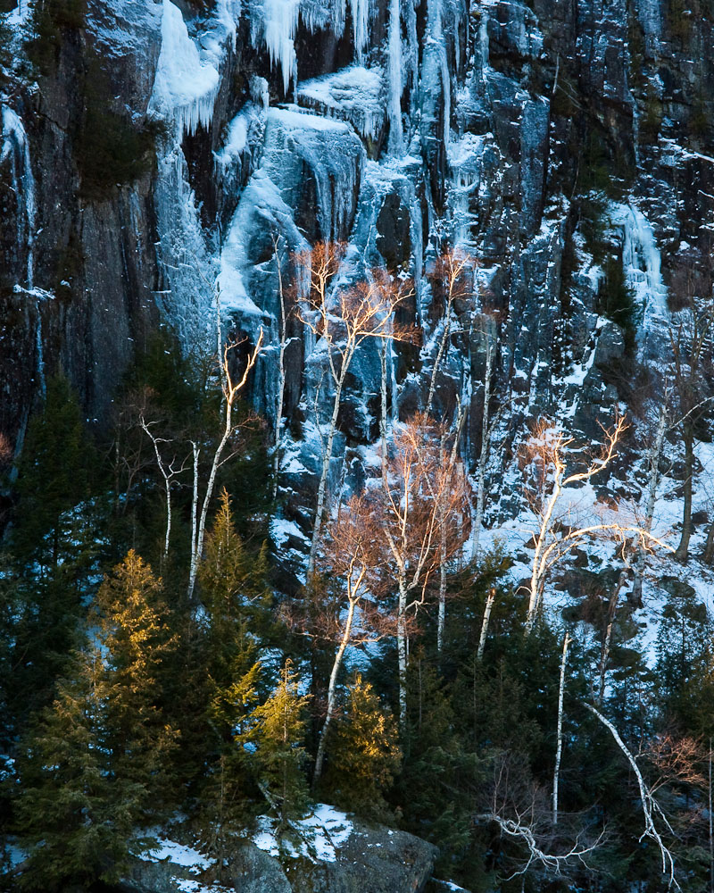 Chapel Pond Sunrise