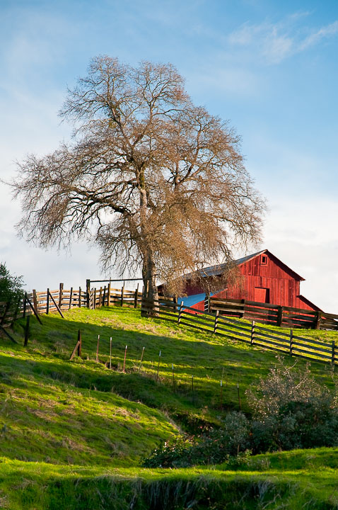 Red Barn