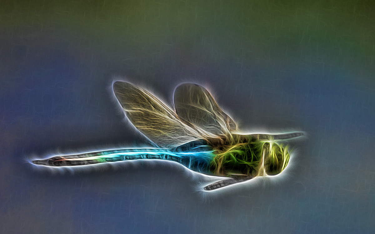 WC 420 - Dragonfly