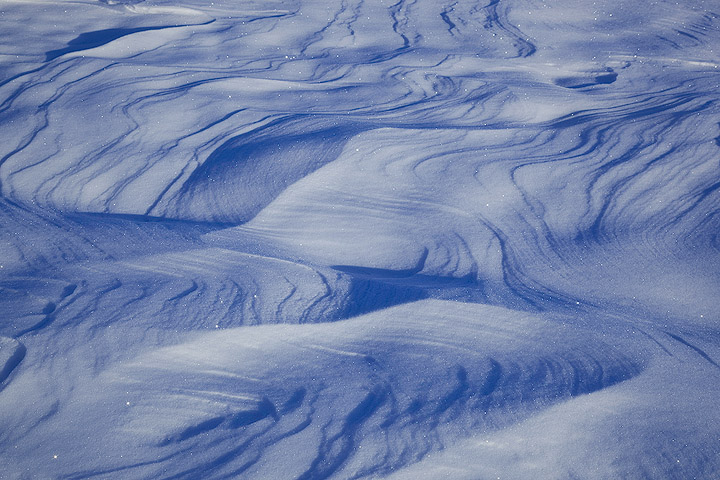 Snow Carvings
