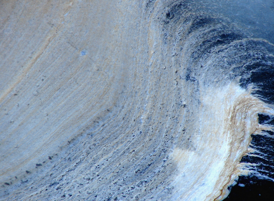 Satellite Imagery