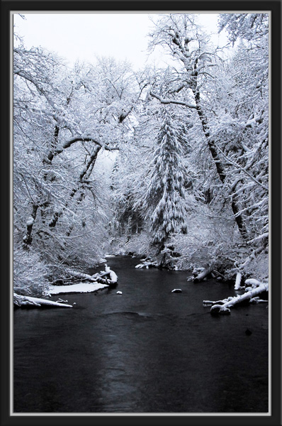 Snowy Stream