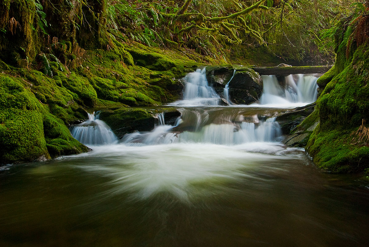 Duncan Creek