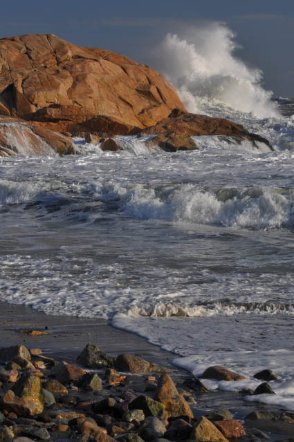 Storm Surge