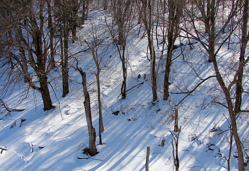 Falling Shadows