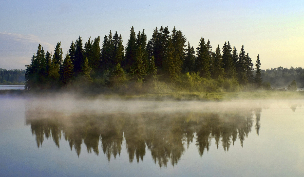Early Morning Fog