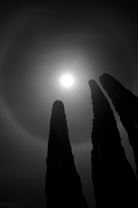 Ring around the moon