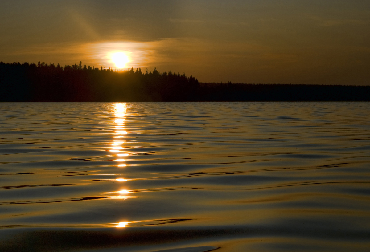 Obed Lake Sun